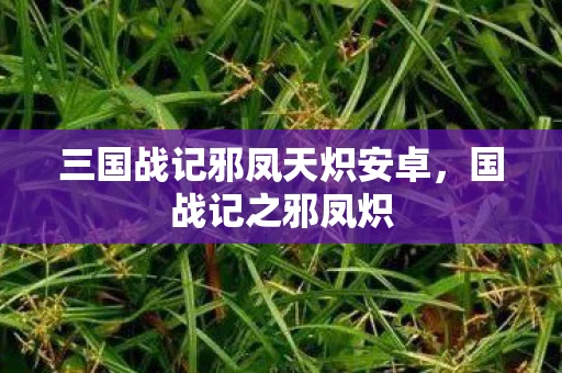 三国战记邪凤天炽安卓，国战记之邪凤炽