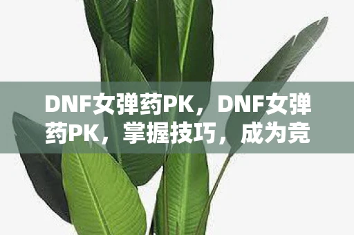 DNF女弹药PK，DNF女弹药PK，掌握技巧，成为竞技场的女神