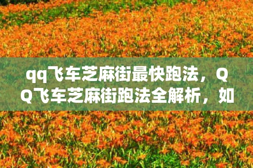 qq飞车芝麻街最快跑法，QQ飞车芝麻街跑法全解析，如何在这条赛道上飞驰？