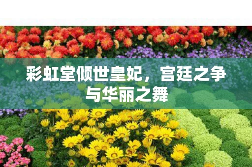 宫廷之争与华丽之舞图片