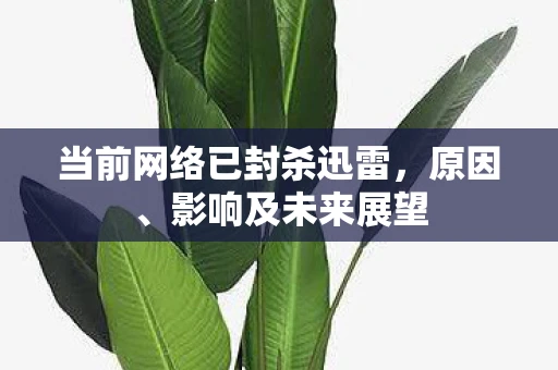 当前网络已封杀迅雷，原因、影响及未来展望