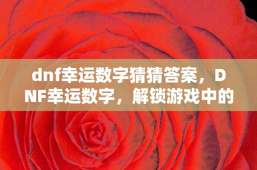 dnf幸运数字猜猜答案，DNF幸运数字，解锁游戏中的神秘力量