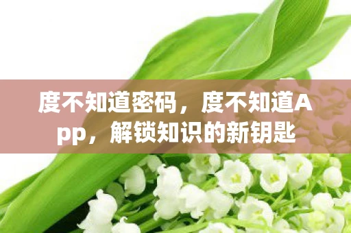 度不知道密码，度不知道App，解锁知识的新钥匙