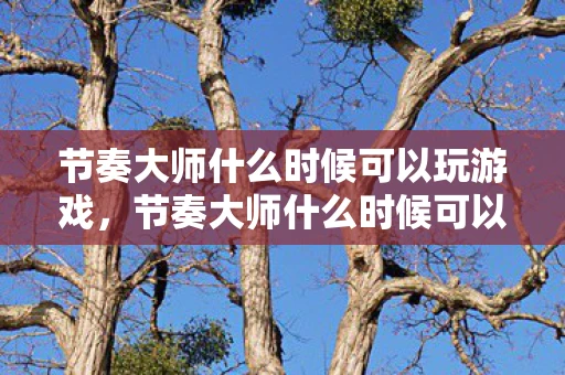 节奏大师什么时候可以玩游戏，节奏大师什么时候可以玩？