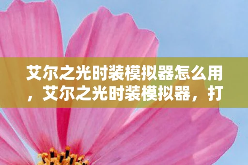 艾尔之光时装模拟器怎么用，艾尔之光时装模拟器，打造你的专属时尚风格