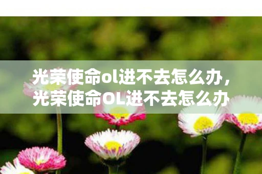 光荣使命ol进不去怎么办，光荣使命OL进不去怎么办？
