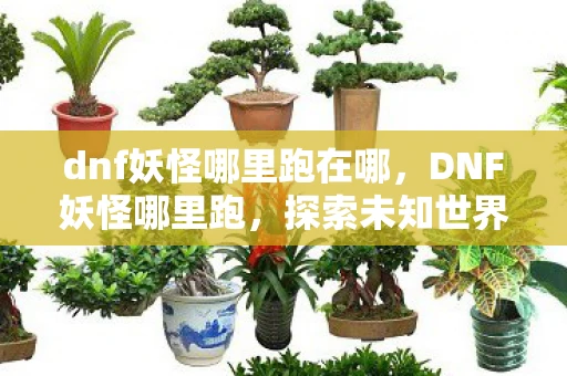 dnf妖怪哪里跑在哪，DNF妖怪哪里跑，探索未知世界的神秘冒险