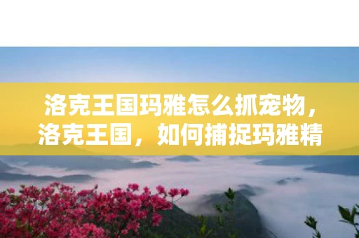 洛克王国玛雅怎么抓宠物，洛克王国，如何捕捉玛雅精灵