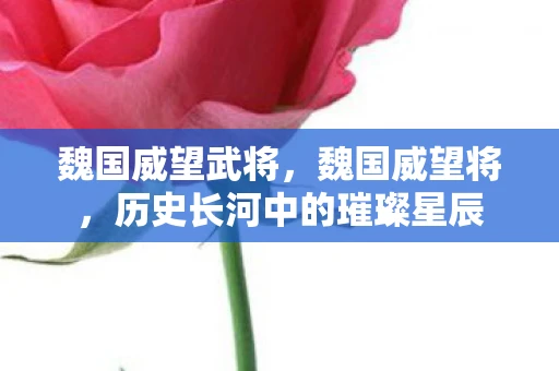 魏国威望武将，魏国威望将，历史长河中的璀璨星辰