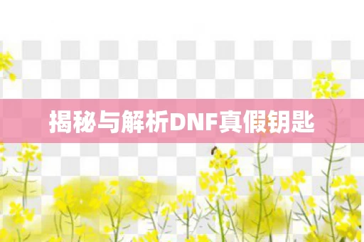 揭秘与解析DNF真假钥匙图片