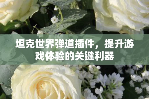 提升游戏体验的关键利器图片