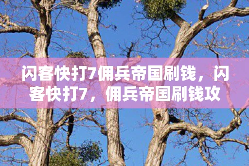 闪客快打7佣兵帝国刷钱，闪客快打7，佣兵帝国刷钱攻略