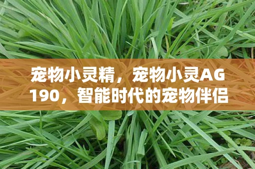 宠物小灵精，宠物小灵AG190，智能时代的宠物伴侣