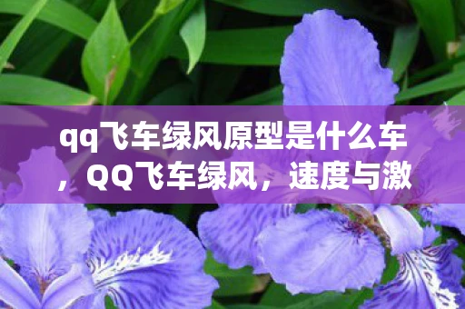 qq飞车绿风原型是什么车，QQ飞车绿风，速度与激情的碰撞