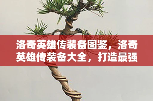 洛奇英雄传装备图鉴，洛奇英雄传装备大全，打造最强战斗力的关键