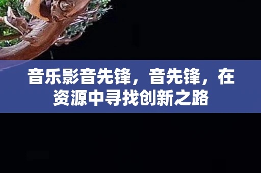音乐影音先锋，音先锋，在资源中寻找创新之路