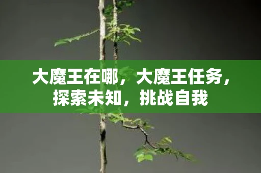 大魔王在哪，大魔王任务，探索未知，挑战自我