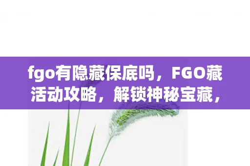 fgo有隐藏保底吗，FGO藏活动攻略，解锁神秘宝藏，赢取丰厚奖励