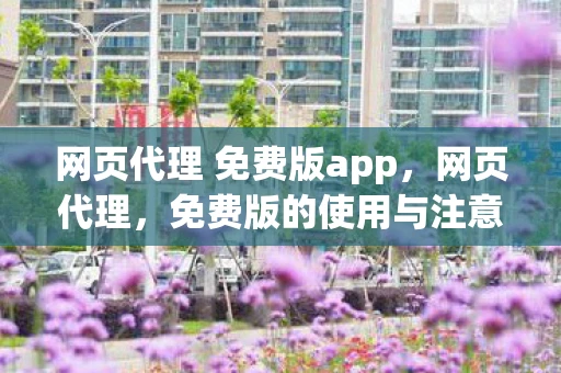 网页代理 免费版app，网页代理，免费版的使用与注意事项