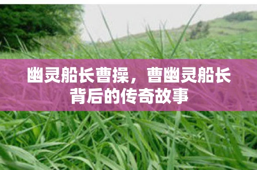 幽灵船长曹操，曹幽灵船长背后的传奇故事