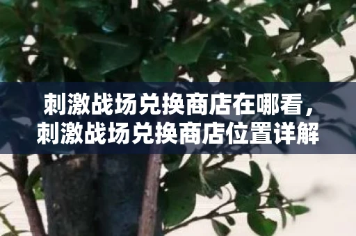 刺激战场兑换商店在哪看，刺激战场兑换商店位置详解