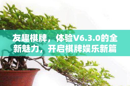 开启棋牌娱乐新篇章图片