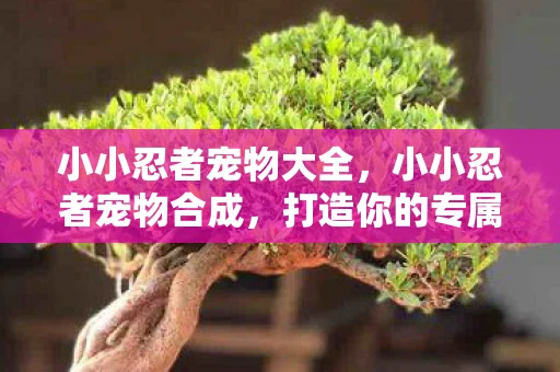 小小忍者宠物大全，小小忍者宠物合成，打造你的专属萌宠