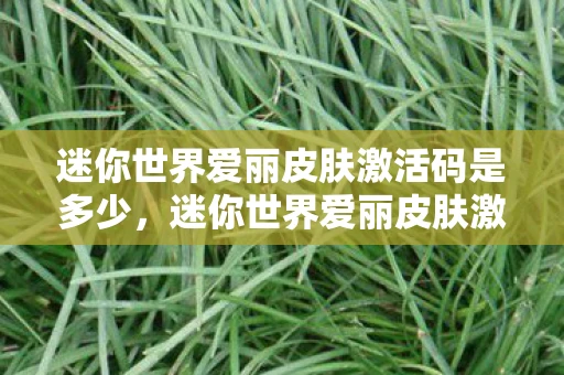 迷你世界爱丽皮肤激活码是多少，迷你世界爱丽皮肤激活码，解锁你的专属时尚偶像