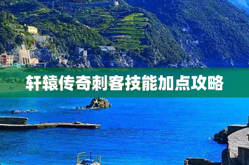 轩辕传奇刺客技能加点攻略图片