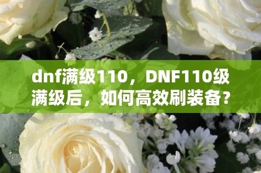dnf满级110，DNF110级满级后，如何高效刷装备？
