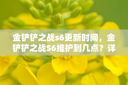 金铲铲之战s6更新时间，金铲铲之战S6维护到几点？详解维护时间及其影响
