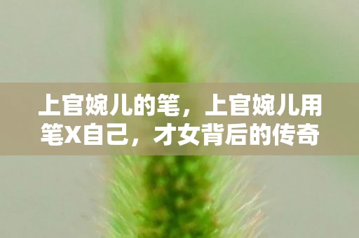上官婉儿的笔，上官婉儿用笔X自己，才女背后的传奇故事