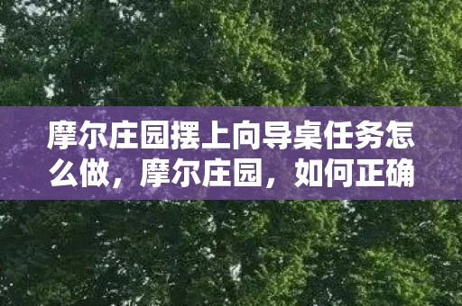 摩尔庄园摆上向导桌任务怎么做，摩尔庄园，如何正确摆放向导桌，打造你的专属小镇