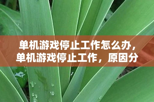 单机游戏停止工作怎么办，单机游戏停止工作，原因分析与解决策略