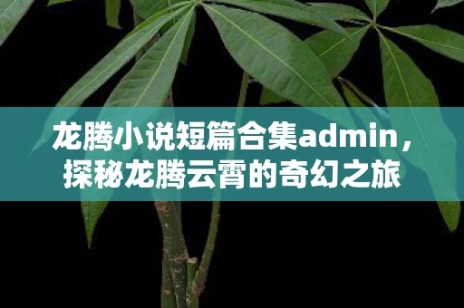 龙腾小说短篇合集admin，探秘龙腾云霄的奇幻之旅