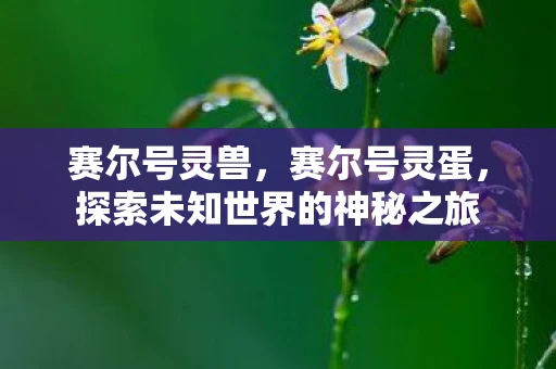 赛尔号灵兽，赛尔号灵蛋，探索未知世界的神秘之旅