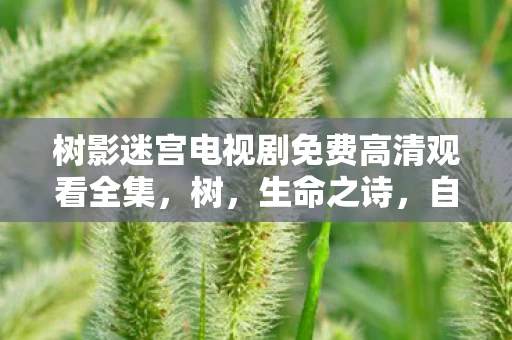 树影迷宫电视剧免费高清观看全集，树，生命之诗，自然之韵