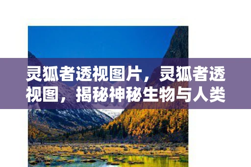 灵狐者透视图片，灵狐者透视图，揭秘神秘生物与人类世界的微妙联系