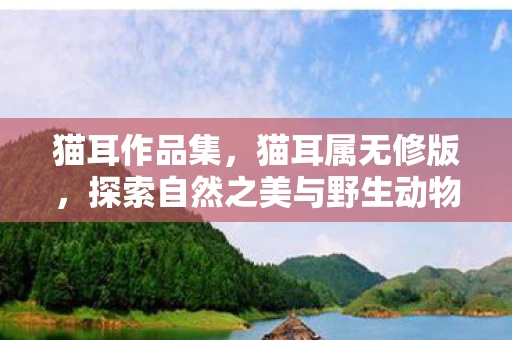 猫耳作品集，猫耳属无修版，探索自然之美与野生动物的奥秘