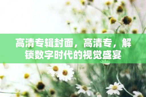 高清专辑封面，高清专，解锁数字时代的视觉盛宴