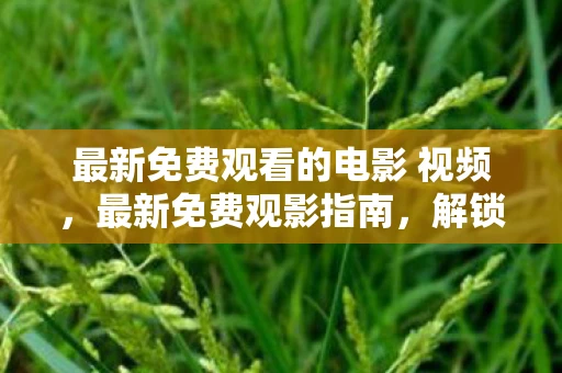 最新免费观看的电影 视频，最新免费观影指南，解锁你的娱乐新选择