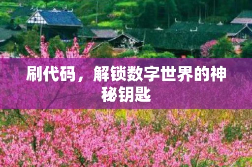 刷代码，解锁数字世界的神秘钥匙