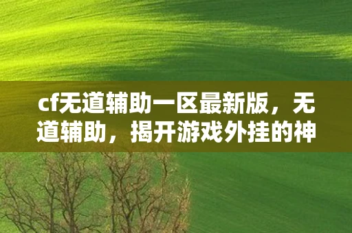 cf无道辅助一区最新版，无道辅助，揭开游戏外挂的神秘面纱