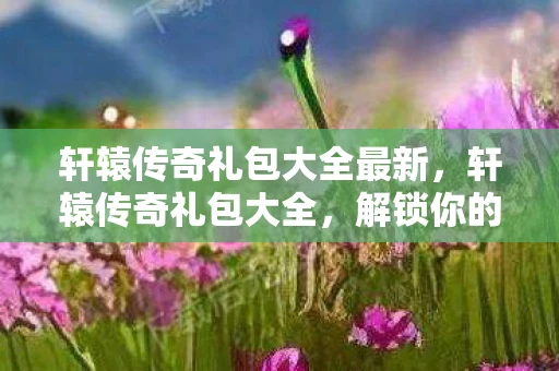 轩辕传奇礼包大全最新，轩辕传奇礼包大全，解锁你的传奇之旅