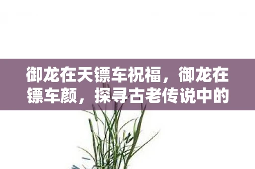 御龙在天镖车祝福，御龙在镖车颜，探寻古老传说中的神秘色彩