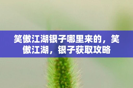 笑傲江湖银子哪里来的，笑傲江湖，银子获取攻略