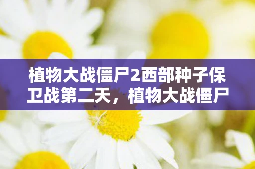 植物大战僵尸2西部种子保卫战第二天，植物大战僵尸2，西部种子保卫战第二幕