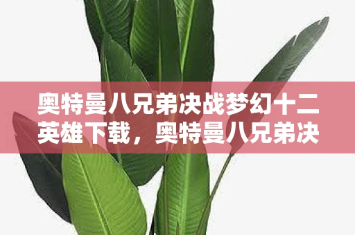 奥特曼八兄弟决战梦幻十二英雄下载，奥特曼八兄弟决战梦幻十二英雄