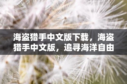 海盗猎手中文版下载，海盗猎手中文版，追寻海洋自由的传奇之旅