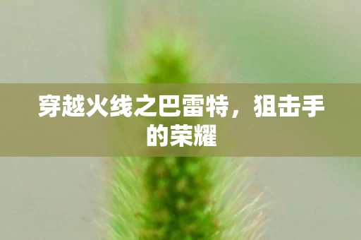 穿越火线之巴雷特图片